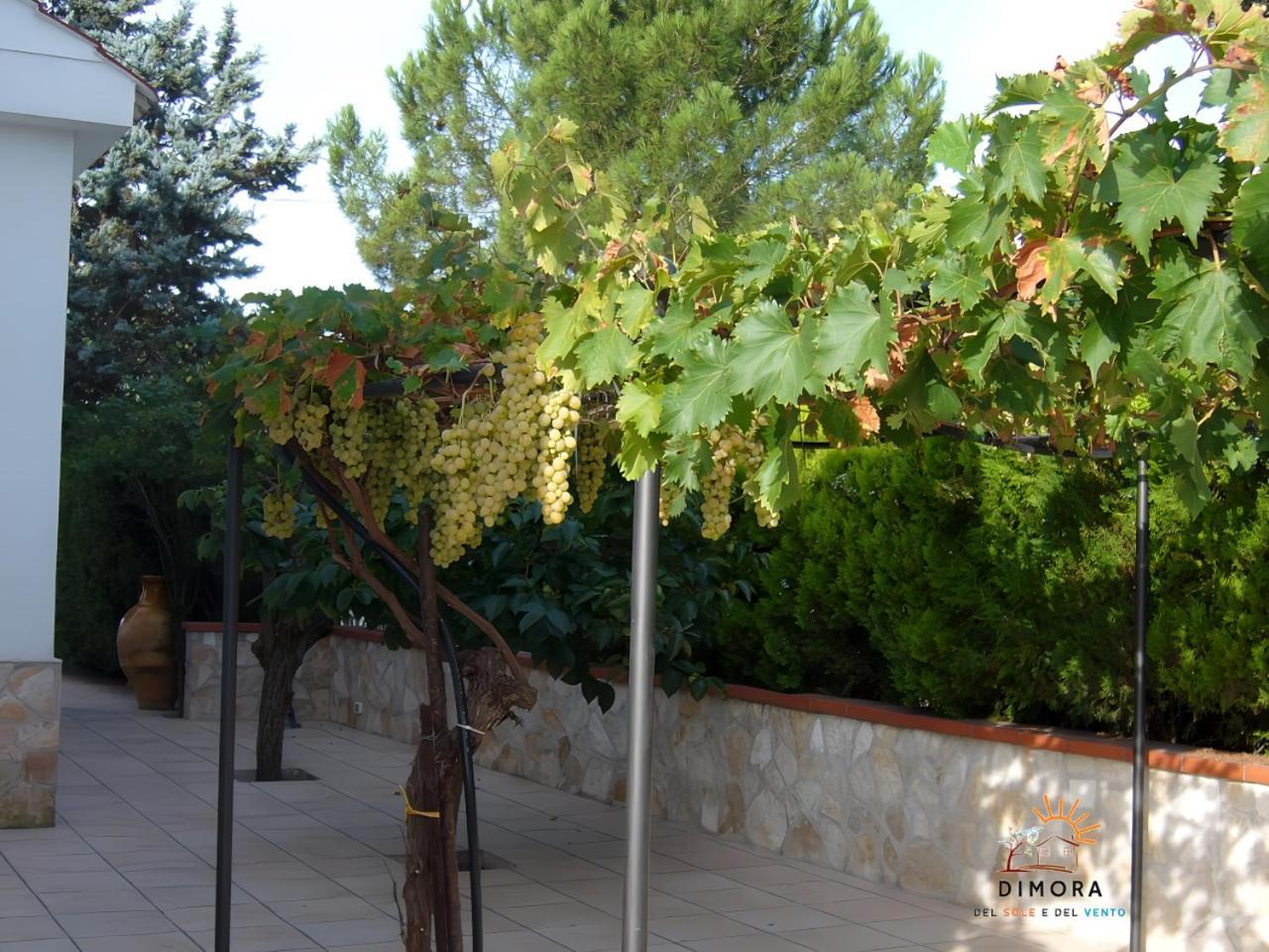 דירות Crispiano Dimora Del Sole E Del Vento מראה חיצוני תמונה