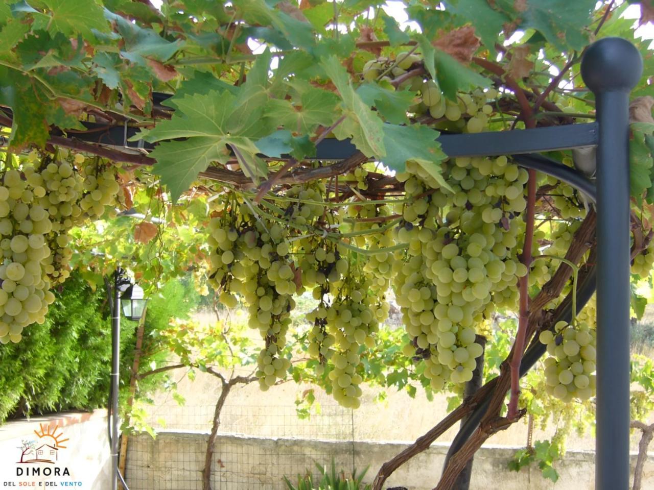 דירות Crispiano Dimora Del Sole E Del Vento מראה חיצוני תמונה
